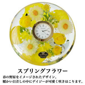 h[NbN v~A uv AiO h[Cg Lhz_[t v[g a KX×WF  Mtg  j GKg Pn