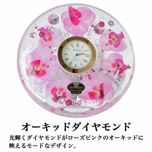 h[NbN v~A uv AiO h[Cg Lhz_[t v[g a KX×WF  Mtg  j GKg Pn