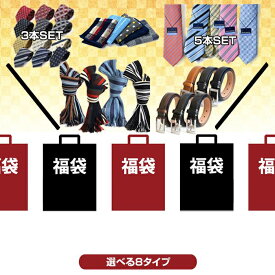 福袋 2025 メンズ LUCKY BUG ネクタイ マフラー ベルト ハンカチ セット 選べる 8セット 2025冬 男性用小物 メンズマフラー メンズネクタイ 男性マフラー ネクタイセット 男性用ベルト 2025年福袋 ハッピーバッグ ファッション