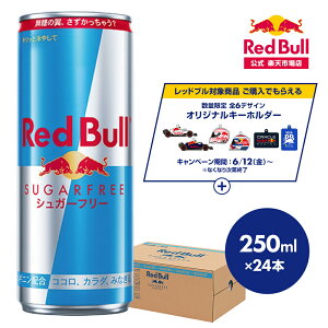 �_24��OFF�N�[�|���Ώ� 4/14 20:00 �` 4/18 23:59�^�y�����z ���b�h�u�� �G�i�W�[�h�����N �V���K�[�t���[ 250ml×24�{(24�{×1�P�[�X) Red Bull ������������ �����[�� ���ރ[�� �[���J�����[ �m���V���K