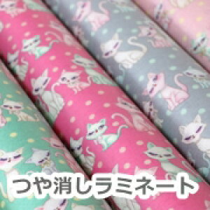 y~l[gnzLovely܂т̔L50cmPʂŃJbg܂