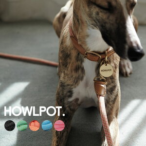 yr[ŃN[|&v[gzHOWLPOT. WE ARE TIGHT p[h ( ybgpi ^ ^ [h p NC~O[v  hbO 킢)