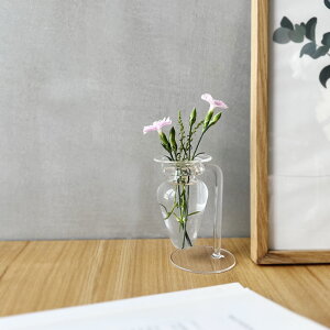 medifla ȉԕr SQUID XNC[h ( fBt t[x[X Ԃт Ԋ ֑} t[X^h t[|bg  wKX KX  Lb`  ȃKX