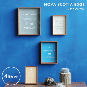 yr[ŃN[|&v[gzNOVA SCOTIA EDGE tHgt[ 4Zbg ( m@ XReBA GbW ʐ^ t[ ʐ^t[ Ǌ| z z Zbg ؐ Ebh |X^[  