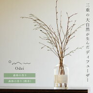 【レビューでクーポン&プレゼント】【天然成分100%】 Odai リードディフューザー セット ヒメシャラ　ア…