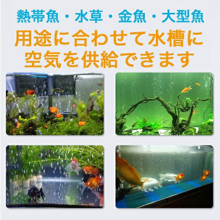 楽天市場 エアレーションホース 1cm カーテン エアレーション アクアリウム エアーストーン ぶくぶく 熱帯魚 エビ メダカ 金魚 水草 水槽 Red Fairy