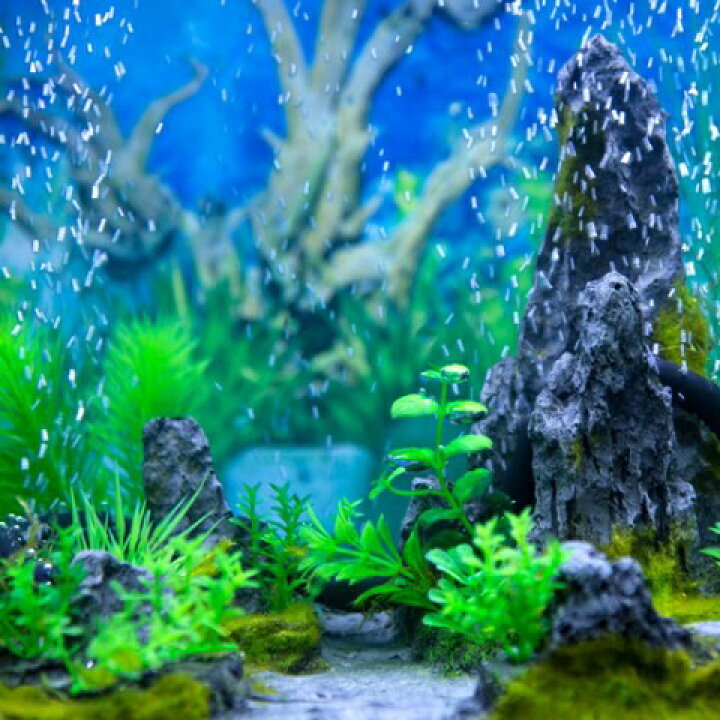 楽天市場 エアレーションホース 1cm カーテン エアレーション アクアリウム エアーストーン ぶくぶく 熱帯魚 エビ メダカ 金魚 水草 水槽 Red Fairy