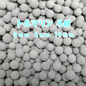 g}  i Z~bN{[ ߍ ANAE  ϗt A nChJ`[ k͔| ~l Gr _J  fBXJX