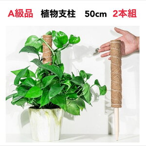 Ax@|x@RRibcx@Ai@50cm@2{g@VR@RRibc@x@ϗtA@Xe@|gX@鐫A