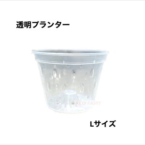 Aؔ  v^[@LTCY@#150@1@5@10@50@100@|@ϗtA@MѐA@K[fjO@񂹐A@Xe@ԁ@A@@ώ@@ʒ\