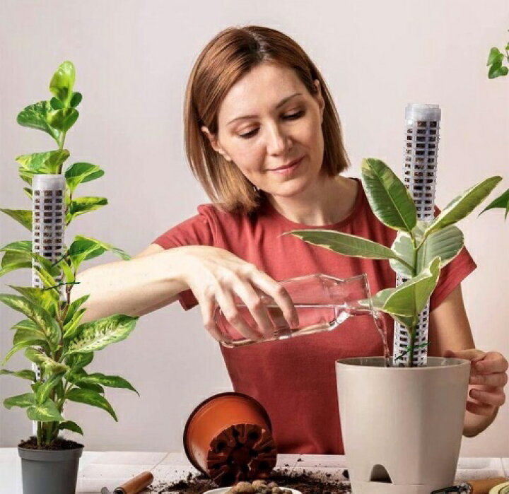 楽天市場】植物支柱 園芸支柱 モスポール 高品質プラスチック 2本組 水 