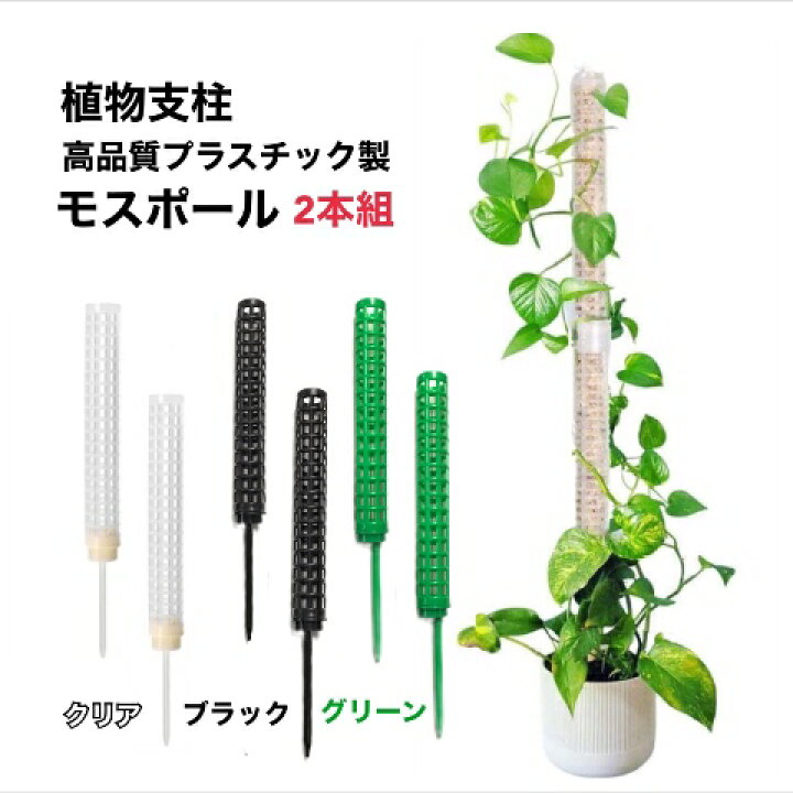 楽天市場】植物支柱 園芸支柱 モスポール 高品質プラスチック 2本組 水 