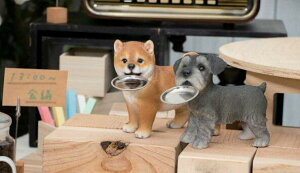 ͂񂿂傤@Vo@ViEU[@u@xj[Y@xj[YAj}