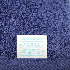 yv[gt ʌzoX^IƐ錾y3Zbgz  O^I OtFCX^I oX^I {^I ڂ^I 33×100cm { 100 Rbg100 z