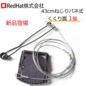 y5%OFFz  43cm˂ol +2ڂ ݔ 18cm t CmVV΍ 胏C   Aj}gbv ߊl VJ nNrV