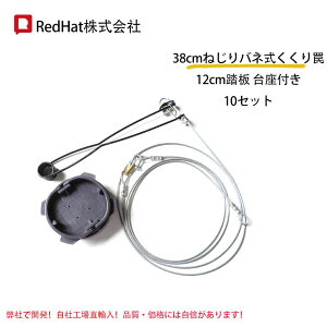 y5%OFFz  10 38cm˂ol+ ݔ 12cm tCmVV΍ 胏C[  CmVV  Aj}gbv ߊl CmVV  VJ nN