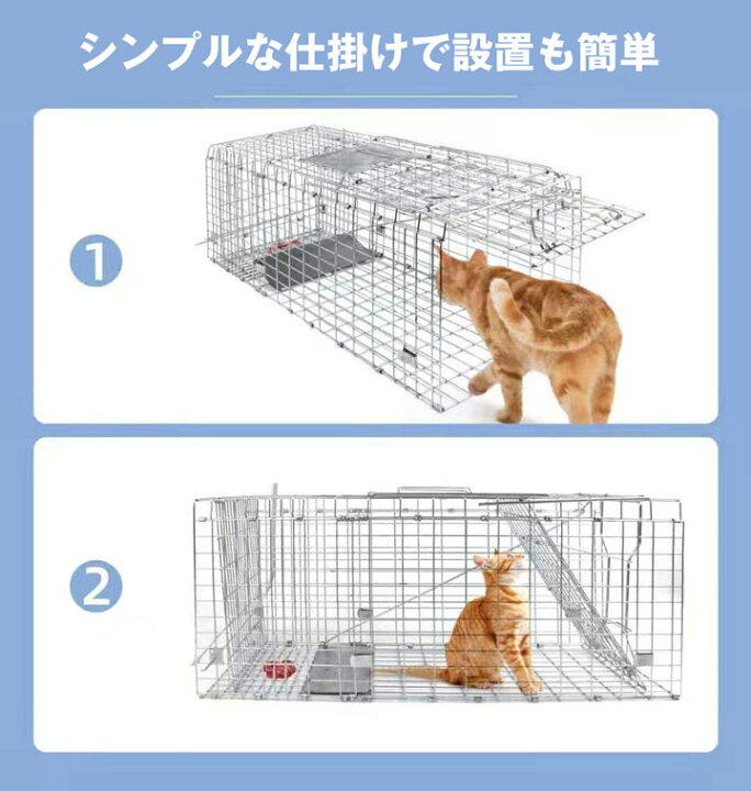 楽天市場】猫 捕獲器 踏板式 捕獲機 小動物捕獲器 動物捕獲器 