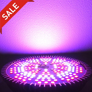 SALE ŐV Px cCg A琬Cg LED E26 琬LED 5000LM Ԑn F F ԐFd 150W A琬pv i ACg 200LED`bv A琬p k͔|Cg