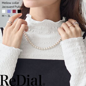 【12/18(木)12時まで2998円！】 トップス レディース ブラウス カットソー トレンド 秋 秋冬 30代 40代 フリル ハイネック 衿 襟 重ね着 インナー 人気 カジュアル シンプル レイヤード おしゃれ 2025秋 きれいめ メロウ 大きいサイズ 長袖 白 黒 秋服 60544 送料無料