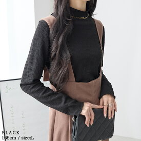 【12/11(木)12時まで2999円！】 トップス レディース ブラウス カットソー トレンド 秋 秋冬 30代 40代 フリル ハイネック 衿 襟 重ね着 インナー 人気 カジュアル シンプル レイヤード おしゃれ 2025秋 きれいめ メロウ 大きいサイズ 長袖 白 黒 秋服 60544 送料無料