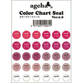 楽天市場 ネイル カラーチャート ディスプレイの通販