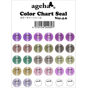 fBXvCpi AQn ageha J[`[gV[ Ver.4.6 2024N1128IveBJ[Ή 䂤pPbg lC֌WG݁yXi3980~iꗣ͐ō9800~jȏőzy