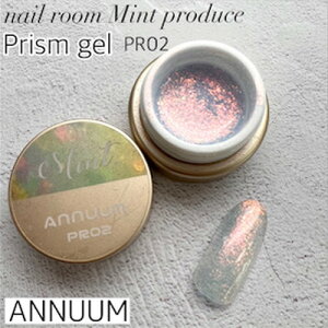 �y6/15 ���X�|�C���g10�{�z�W�F���l�C�� �J���[�W�F�� �A�j���[�� ANNUUM nail room Mint produce �v���Y���W�F��3g PR02 �䂤�p�P�b�g �O���b�^�[ �W�F�� �Z���t�l�C�� �~���g �v���Y��