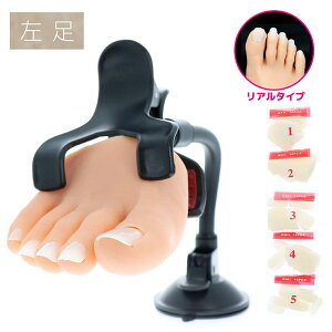 pi Kpi r[eB[lC[ BEAUTY NAILER vNeBX n[ttbg@A (PFR-2) lC֌WG т[Ă[˂[ Kp