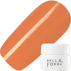 y11/15 X|Cg10{zWFlC J[WF xtH[} Bellaforma J[WF3ml 063 }S[IW 䂤pPbgyXi3980~iꗣ͐ō9800~jȏőzy