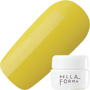 y11/15 X|Cg10{zWFlC J[WF xtH[} Bellaforma x uCg J[WF3ml 212 fBAgCG[ 䂤pPbgyXi3980~iꗣ͐ō9800~j