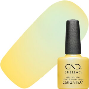 WFlC J[WF V[GkfB[ECREATIVE ENGCeBu CND ACROSS THE MANIVERSERNV VFbN J[R[g7.3ml 466 [ʂł V[GkfB |bV^CvyX