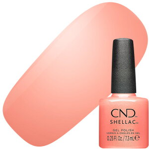 WFlC J[WF V[GkfB[ECREATIVE ENGCeBu CND Dynamic DualityRNV VFbN J[R[g7.3ml 476 [ʂł V[GkfB |bV^Cv _Ci~b