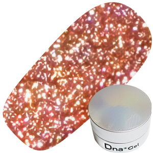 WFlC J[WF fB[iWF DnaGel tbVWF8g FG02 W 䂤pPbg FLASH Gel W[^Cv Ob^[WF