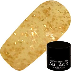 WFlC J[WF ACXWF ICEGEL ABLACK ufBWF3g 1191 GNyXi3980~iꗣ͐ō9800~jȏőzyV39Vbv