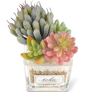 G tFCNO[ LV} GNA LA[eBtBVO[(S) 61182 G݁yXi3980~iꗣ͐ō9800~jȏőzyV39Vbv