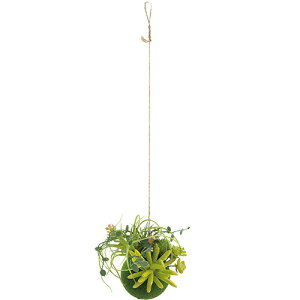 G tFCNO[ LV} GNA LA[eBtBVO[(S) 61193 G݁yXi3980~iꗣ͐ō9800~jȏőzyV39Vbv