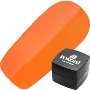 WFlC J[WF RRCXg KOKOIST J[WF2.5g E10}S[IW 䂤pPbg }bgyXi3980~iꗣ͐ō9800~jȏőzyV39Vbv