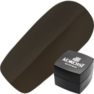 WFlC J[WF RRCXg KOKOIST J[WF2.5g E17r^[`R[g 䂤pPbg }bgyXi3980~iꗣ͐ō9800~jȏőzyV39Vbv