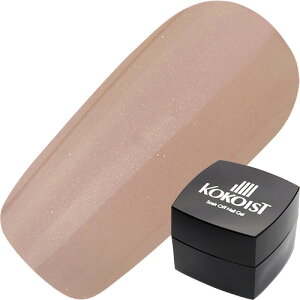 WFlC J[WF RRCXg KOKOIST J[WF2.5g E31S[LfB 䂤pPbg VA[yXi3980~iꗣ͐ō9800~jȏőzyV39Vbv