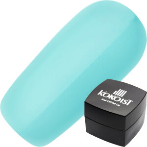 WFlC J[WF RRCXg KOKOIST J[WF2.5g E96\[_ouK 䂤pPbg lIyXi3980~iꗣ͐ō9800~jȏőzyV39Vbv