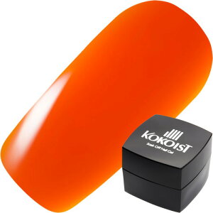 WFlC J[WF RRCXg KOKOIST J[WF2.5g E209S eL[IW 䂤pPbg VA[yXi3980~iꗣ͐ō9800~jȏőzyV39Vbv