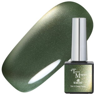 �W�F���l�C�� �J���[�W�F�� �R�R�C�X�g KOKOIST Terra Magnet 10g TM-53 Deep Forest ������ ���������� TERRAMAGNET �e���}�O�l�b�g �}�O�l�b�g�W�F�� �}�O�l�b�g�l�C�� �A�[�X�J���[ �������q�V�����p