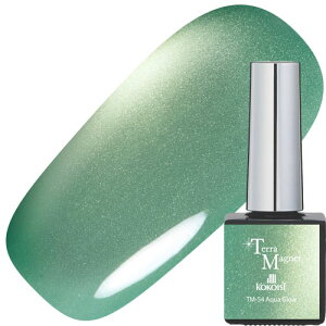 �W�F���l�C�� �J���[�W�F�� �R�R�C�X�g KOKOIST Terra Magnet 10g TM-54 Aqua Glow ���������� TERRAMAGNET �e���}�O�l�b�g �}�O�l�b�g�W�F�� �}�O�l�b�g�l�C�� �A�[�X�J���[ �������q�V�����p���S�[���h