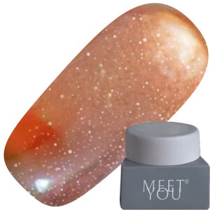 WFlC J[WF MEET YOU MG-A Magnet 2.5g 02 䂤pPbg MEETYOU Meet you Meetyou gX^[ }OlbgWF }OlbglC MG-A Series