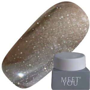 �W�F���l�C�� �J���[�W�F�� MEET YOU MG-A Magnet 2.5g 05 �䂤�p�P�b�g MEETYOU Meet you Meetyou �g�����X�^�[ �}�O�l�b�g�W�F�� �}�O�l�b�g�l�C�� MG-A Series
