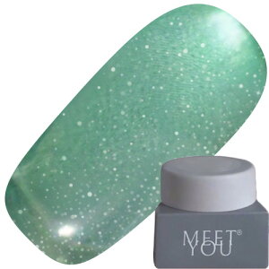 �W�F���l�C�� �J���[�W�F�� MEET YOU MG-A Magnet 2.5g 11 �䂤�p�P�b�g MEETYOU Meet you Meetyou �g�����X�^�[ �}�O�l�b�g�W�F�� �}�O�l�b�g�l�C�� MG-A Series