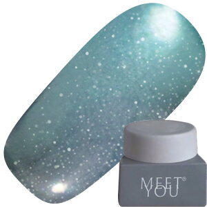 �W�F���l�C�� �J���[�W�F�� MEET YOU MG-A Magnet 2.5g 12 �䂤�p�P�b�g MEETYOU Meet you Meetyou �g�����X�^�[ �}�O�l�b�g�W�F�� �}�O�l�b�g�l�C�� MG-A Series