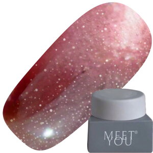 �W�F���l�C�� �J���[�W�F�� MEET YOU MG-A Magnet 2.5g 16 �䂤�p�P�b�g MEETYOU Meet you Meetyou �g�����X�^�[ �}�O�l�b�g�W�F�� �}�O�l�b�g�l�C�� MG-A Series