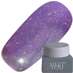 WFlC J[WF MEET YOU MG-A Magnet 2.5g 19 䂤pPbg MEETYOU Meet you Meetyou gX^[ }OlbgWF }OlbglC MG-A Series