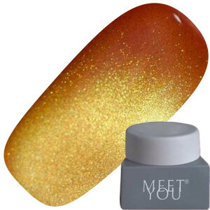 �W�F���l�C�� �J���[�W�F�� MEET YOU MG-D Magnet 2.5g 03 �䂤�p�P�b�g MEETYOU Meet you Meetyou �g�����X�^�[ �}�O�l�b�g�W�F�� �}�O�l�b�g�l�C�� MG-D Series